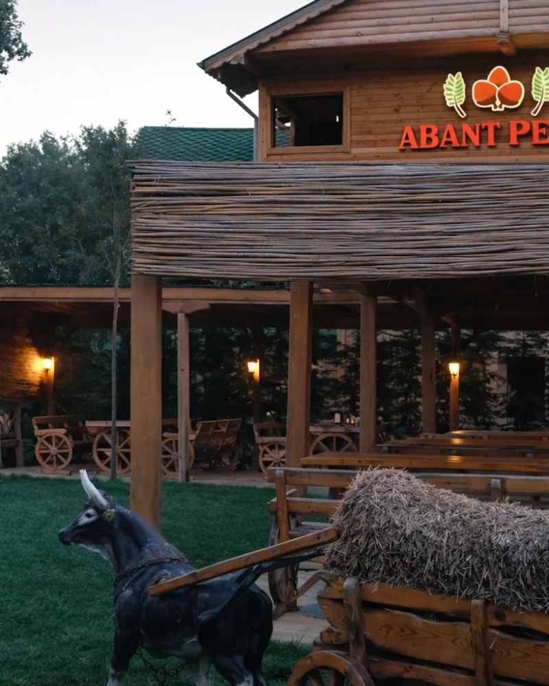 Abant Pelit'in sakin atmosferi_pilmedya
